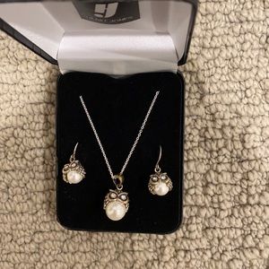 Owl earrings and necklace, never worn